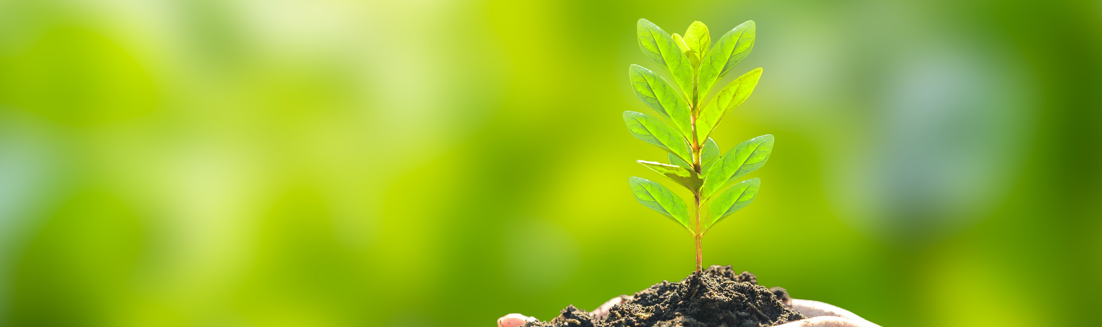 Managing Rising Energy Costs in the UK