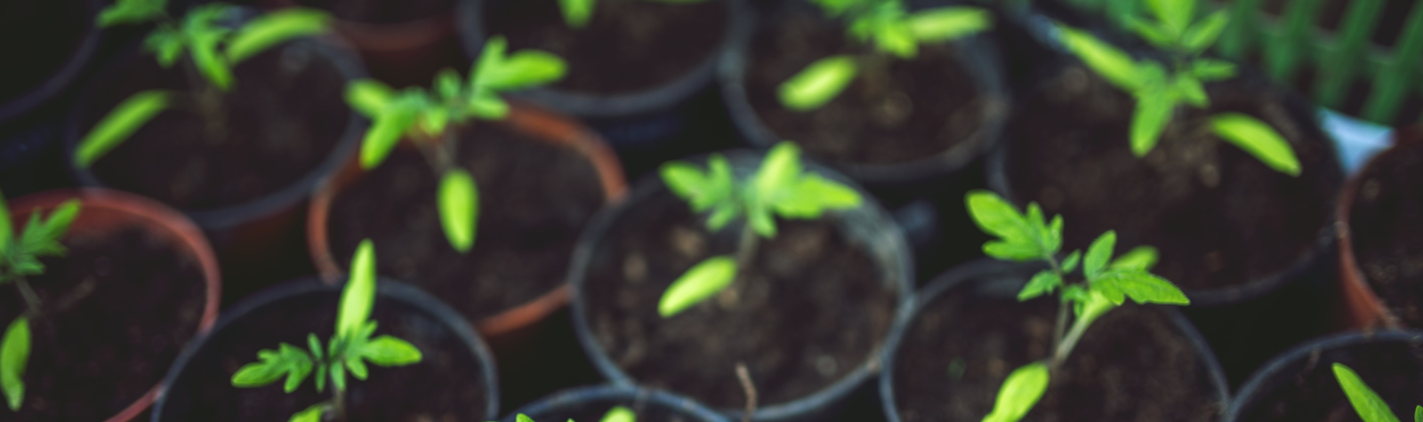 Transforming Your Home to Save Energy and Reduce Bills